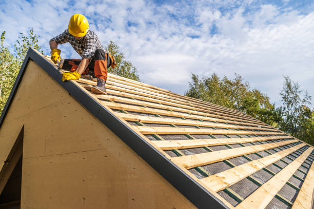 Best Roof Leak Repair  in Petersburg, IN