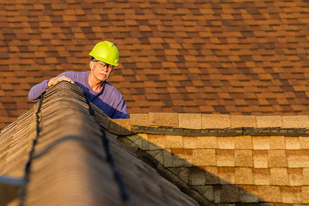 Best Roof Gutter Cleaning  in Petersburg, IN